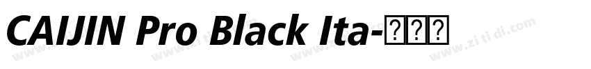 CAIJIN Pro Black Ita字体转换